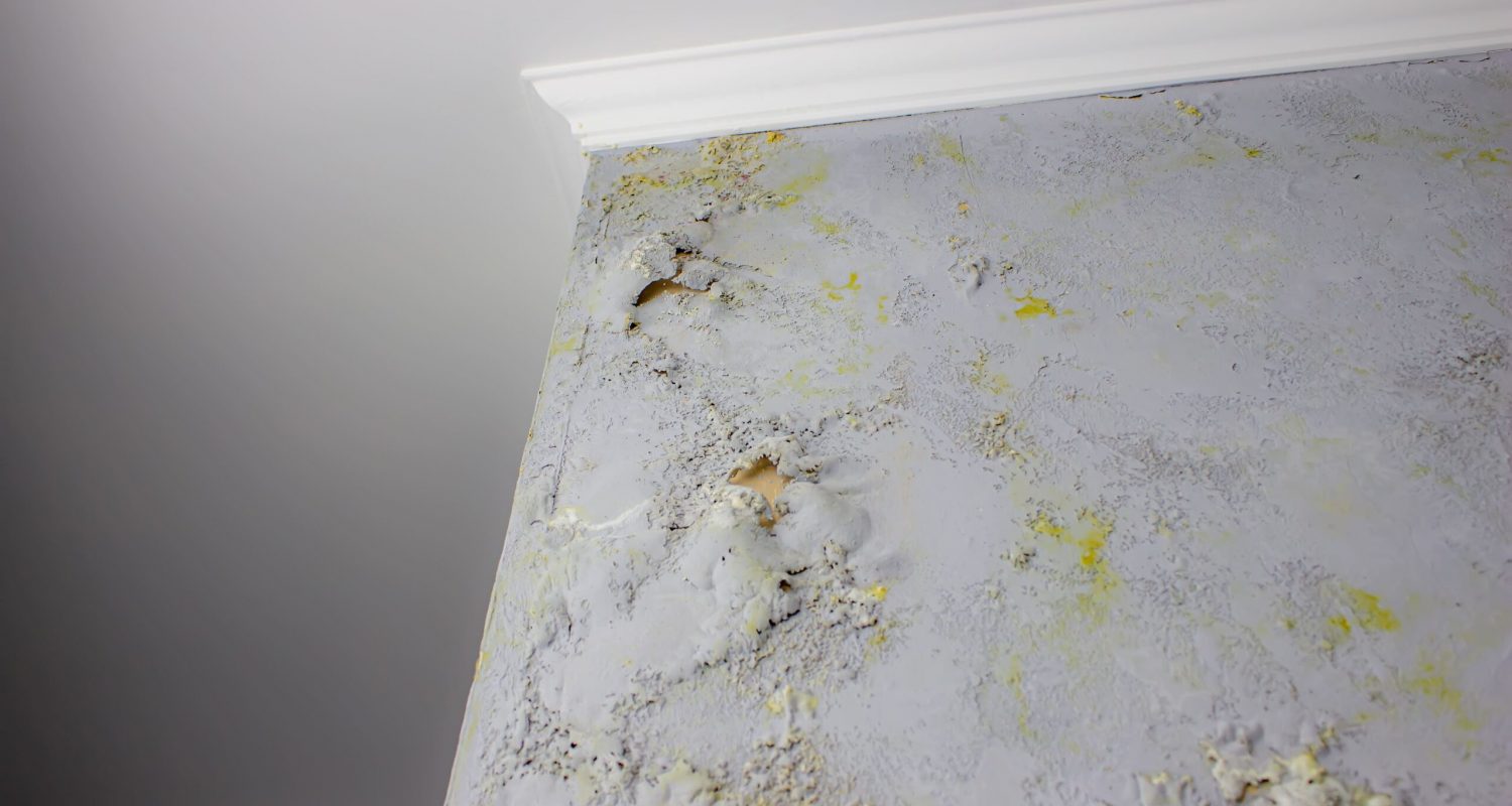 black-mold-on-the-wall-fungus-on-the-wall-after-t-2026-01-08-22-49-27-utc