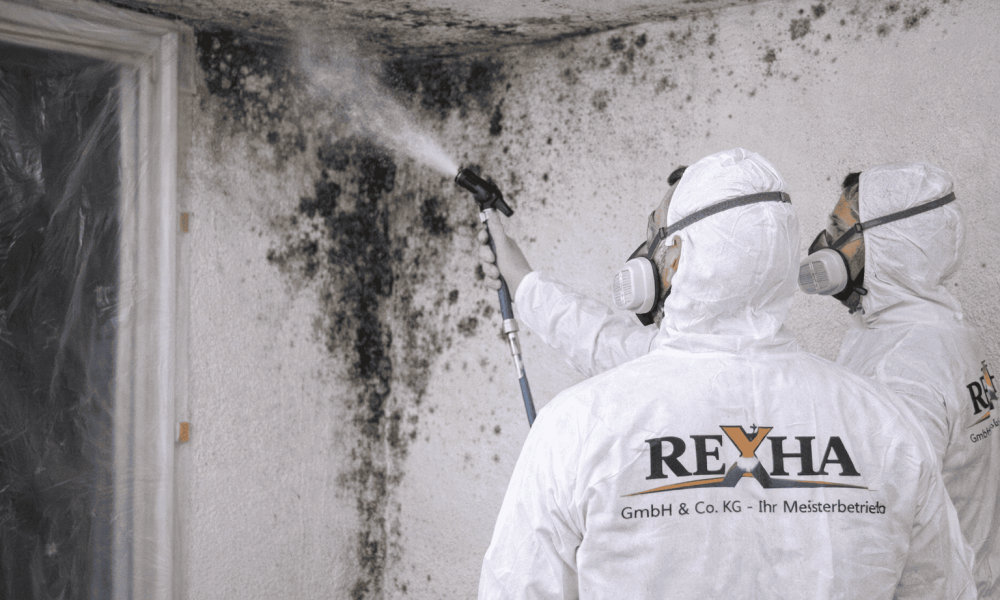 rexha-gmbh-images (7)